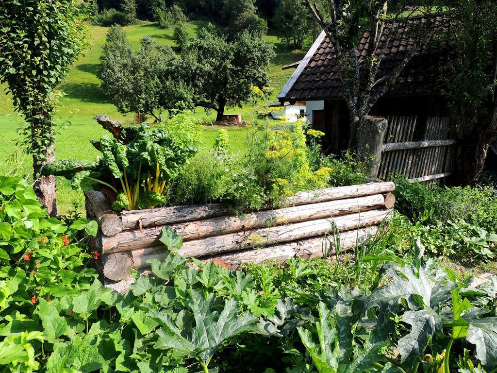 Pension Forsthof Maishofen Buitenkant foto