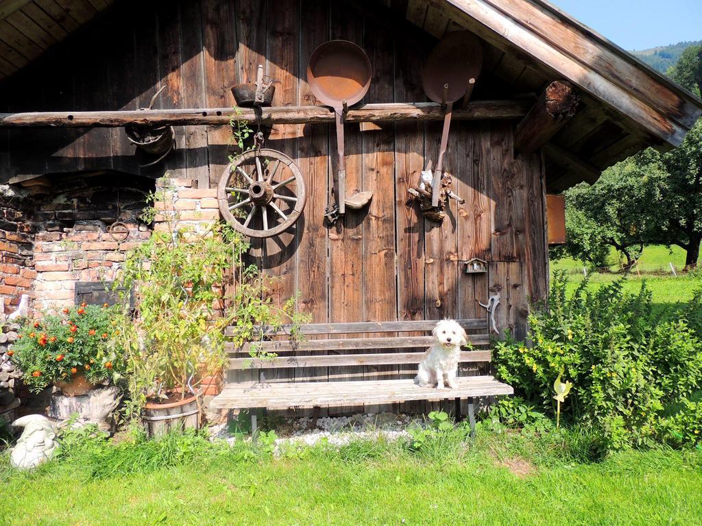 Pension Forsthof Maishofen Buitenkant foto