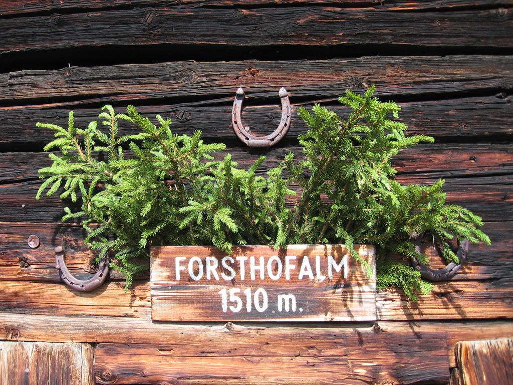 Pension Forsthof Maishofen Buitenkant foto